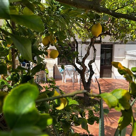Casa Ciccio Lejlighed San Vito Lo Capo Eksteriør billede